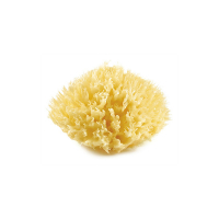 THERMOBABY Mořská houba Yellow